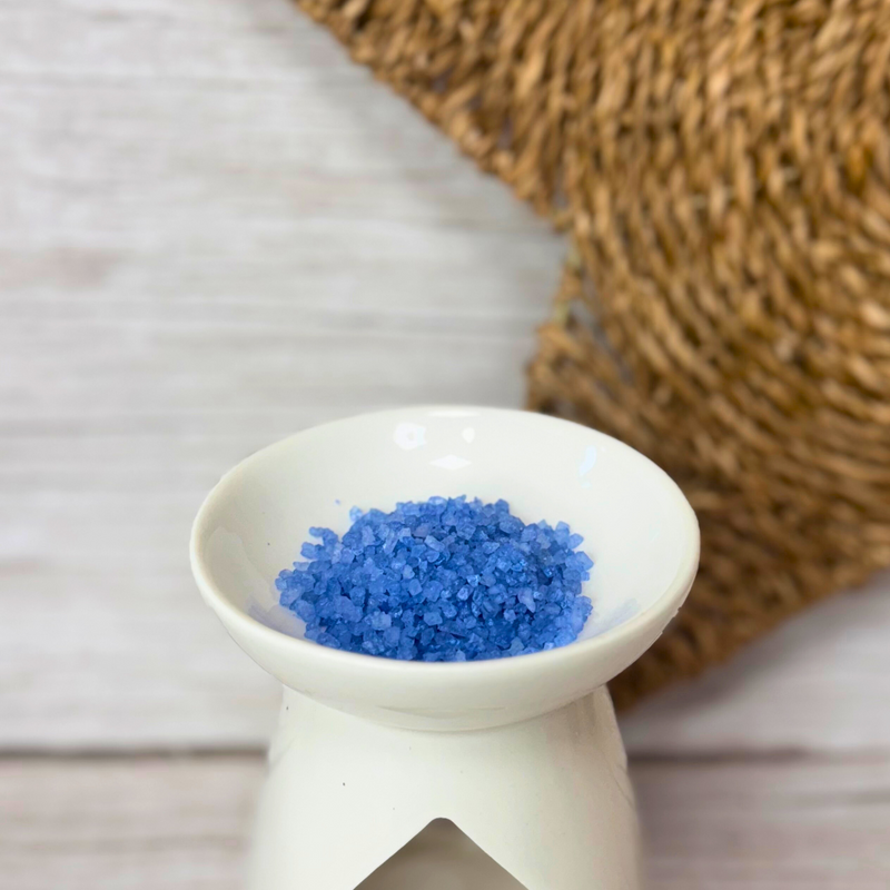 Little House of Fragrance Perfume Inspired Scented Sizzler Collection - 10 Bags