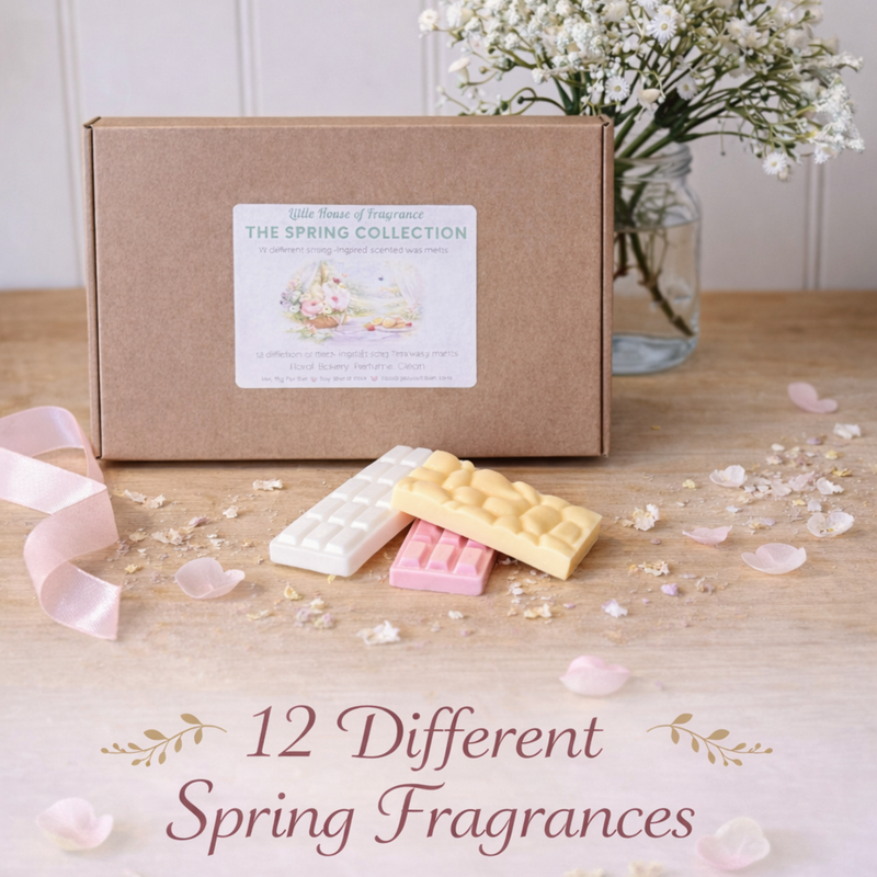 The Spring Collection Wax Melt Mini Snap Bar Box | 12 Fragrances