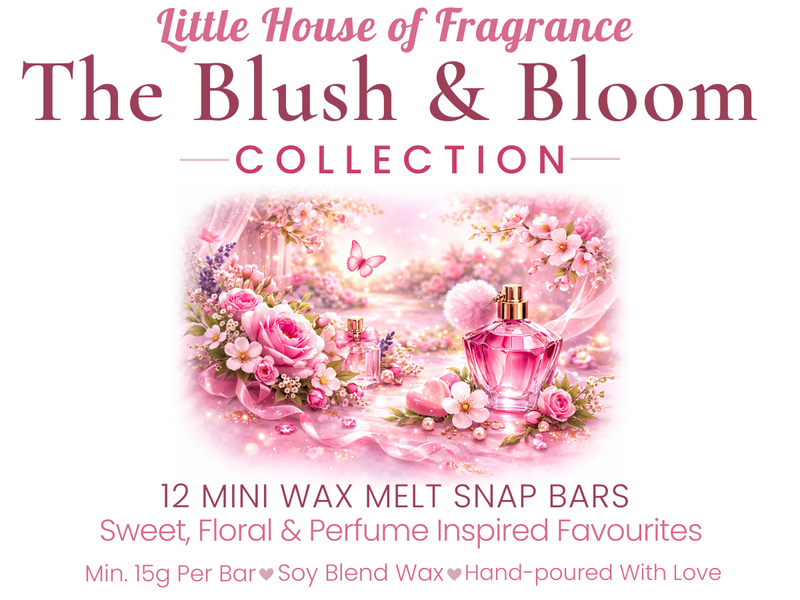 The Blush & Bloom Collection | 12 Mini Snap Bar Wax Melt Box
