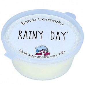 Rainy Day Mini Melt