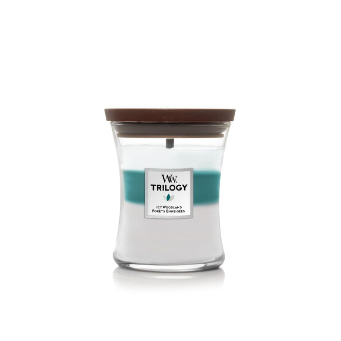 WoodWick Icy Woodland Trilogy Medium Hourglass Jar Candle